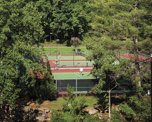 Outdoor tennis court surrounded by wooded area.