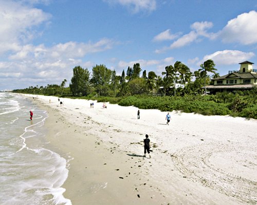 A view of the beach alongside a wooded area and the ocean.