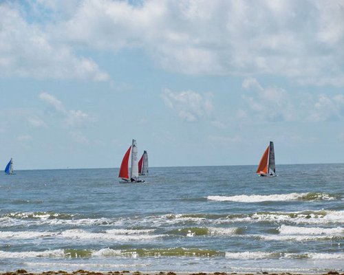 A view of the ocean with multiple sailboats.