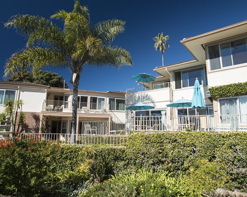 Multiple unit balconies surrounded by palm trees and shrubs.