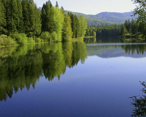 View of lake surrounded by forest and mountain.