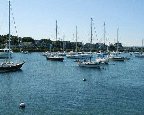 A view of the ocean with multiple sail boats.