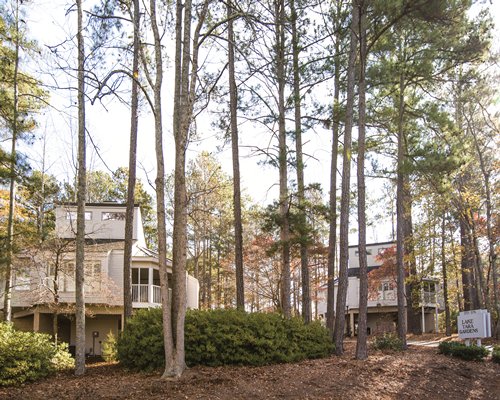 A view of two tree houses from the woods.