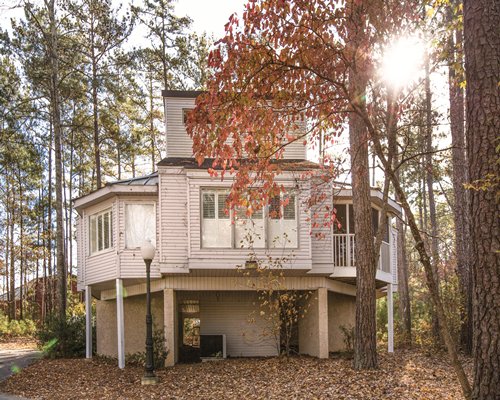 Outdoor view of a tree house surrounded by a wooded area.