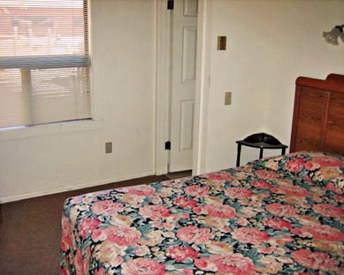 A bedroom with queen bed with an outside view.