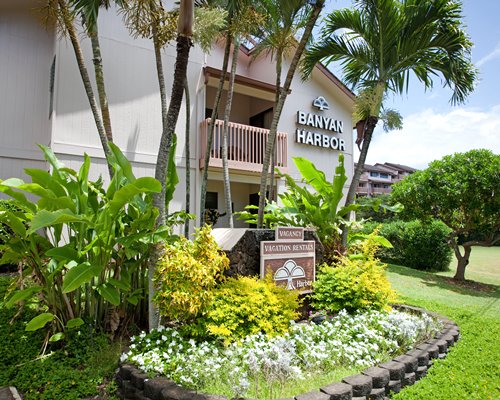 Banyan Harbor Image