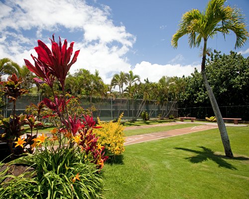 Banyan Harbor