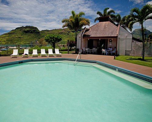 An outdoor swimming pool surrounded by palm trees and mountain view.