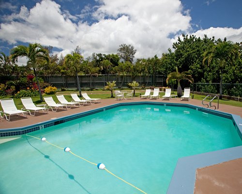 An outdoor swimming pool with lounge area surrounded by trees.