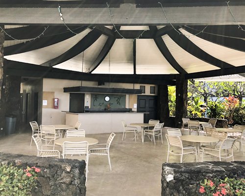 Dining area with sunshades palm trees and beach view.