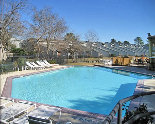 A large outdoor swimming pool with lounge surrounded by woods.