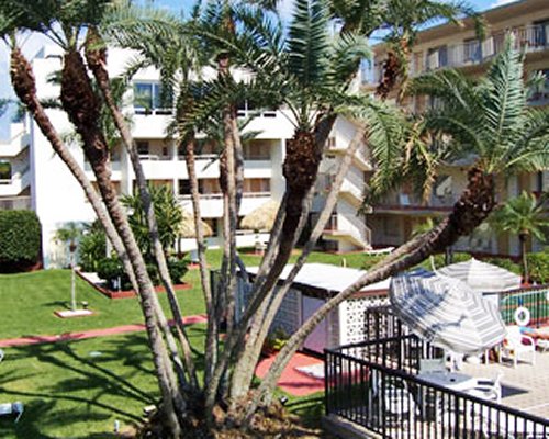 Scenic multi story condos with a private balcony and palm tree.