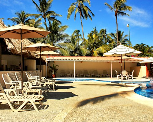 Outdoor swimming pool with chaise lounge chairs surrounded by palm trees.