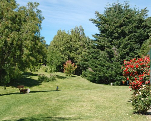Scenic picnic area with trees and flowering shrubs.