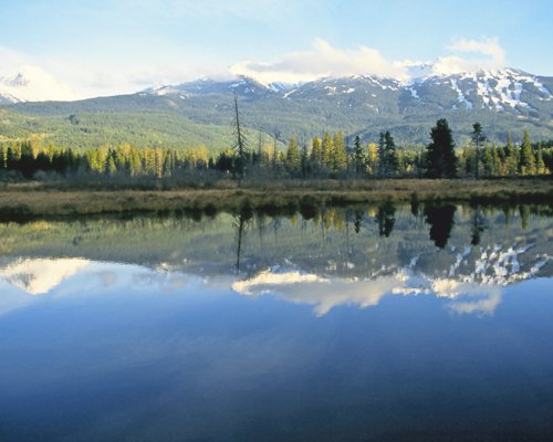A lake alongside mountains surrounded by wooded area.