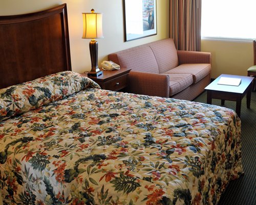 A well furnished bedroom with a queen bed a sofa and an outside view.