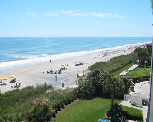 An aerial view of the beach with sunshades chaise lounge chairs and landscaping.