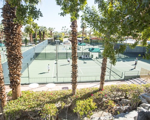 Palm Springs Tennis Club