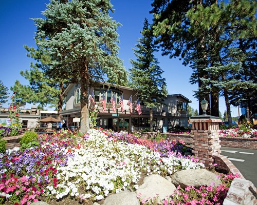 Stardust -Tahoe Image