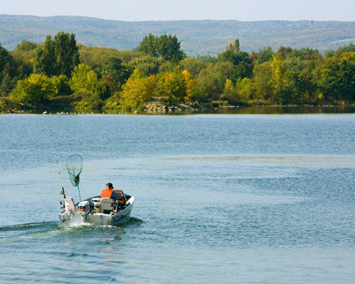 A lake view of a man driving a motor boat towards a wooded area on the far shore.