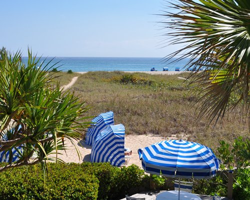 Sand Dune Shores Resort