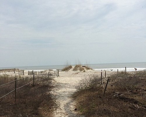 Scenic exterior view of pathway and car parking at Sea Crest Surf and Racquet Club.