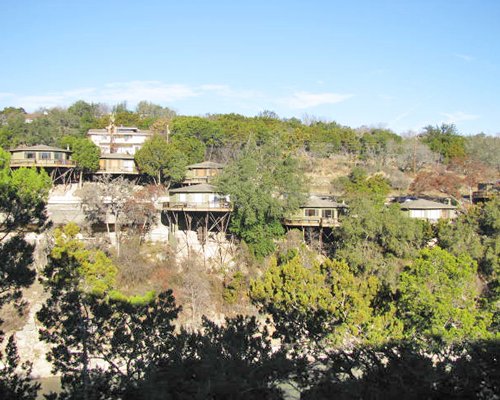 A ground view of a tree house surrounded by a wooded area.