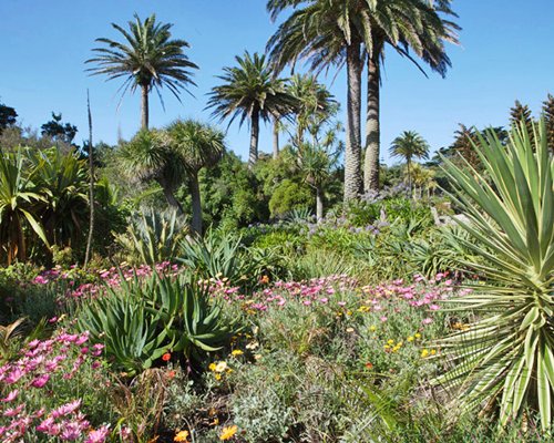 Tresco