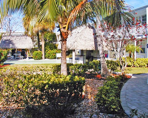 Landscape view of thatched sunshades alongside resort.