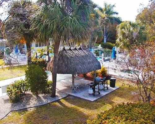 A scenic view of thatched sunshades alongside an outdoor swimming pool.