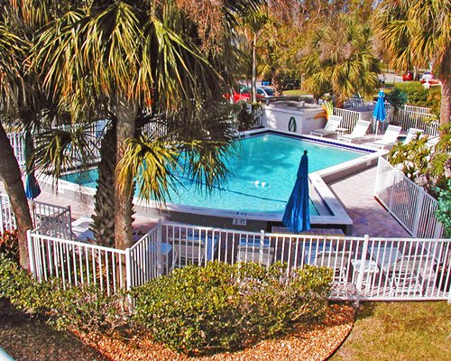 Outdoor pool with chaise lounge chairs surrounded by palm trees.