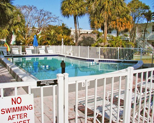 An outdoor swimming pool surrounded by trees.