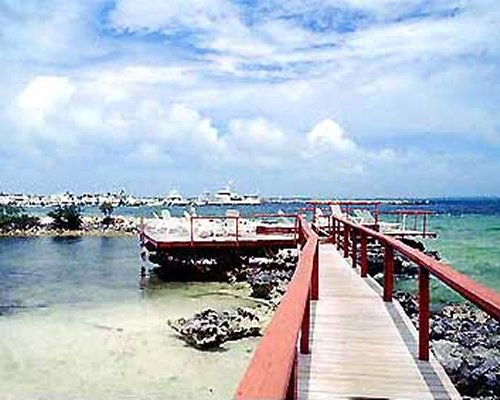 View of wooden pier and boats.