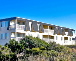 Image Description to Come