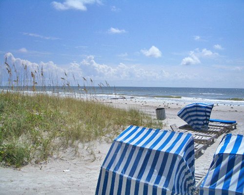 View of chaise lounge chairs alongside the beach.