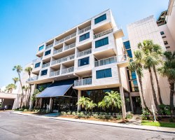 Image Description to Come