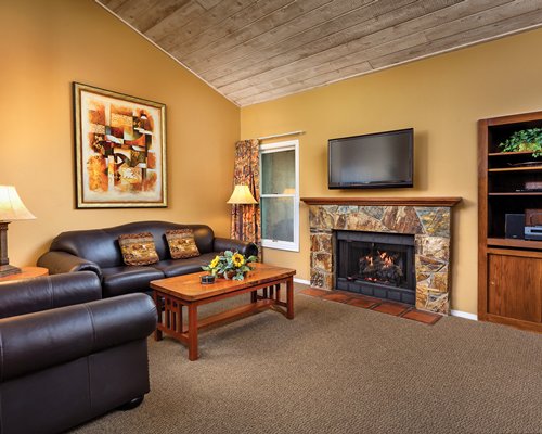 A well furnished living room with television and fire in the fireplace.