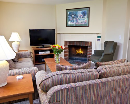 A well furnished living room with a television and fire in the fireplace.