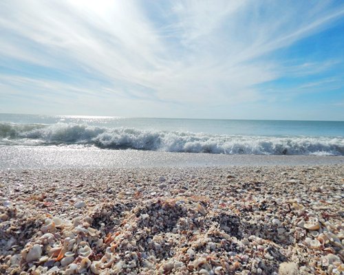 Sea Oats Beach Club