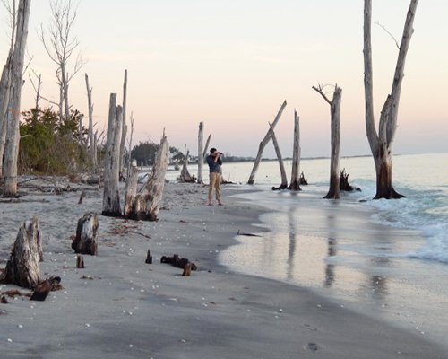 Sea Oats Beach Club