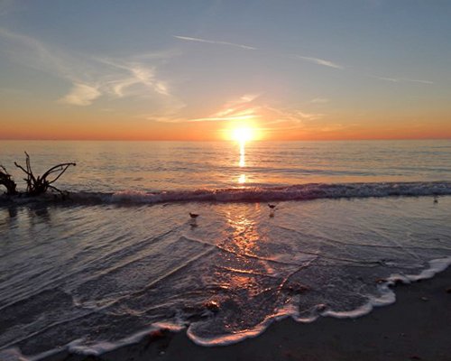 Sea Oats Beach Club