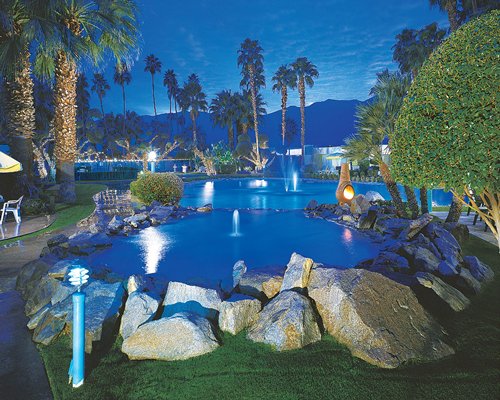 Desert Isle of Palm Springs Image