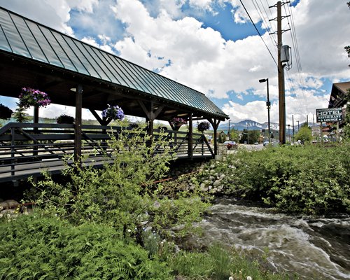 The Pines at Meadow Ridge