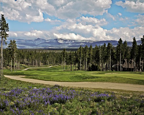 The Pines at Meadow Ridge