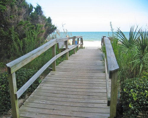 A wooden pathway leading to a beach surrounded by shrubs.