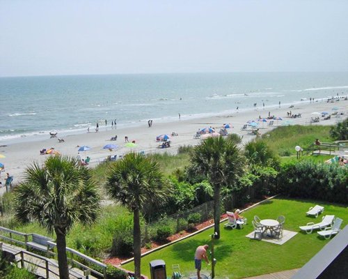 Scenic view of a picnic area alongside the beach.