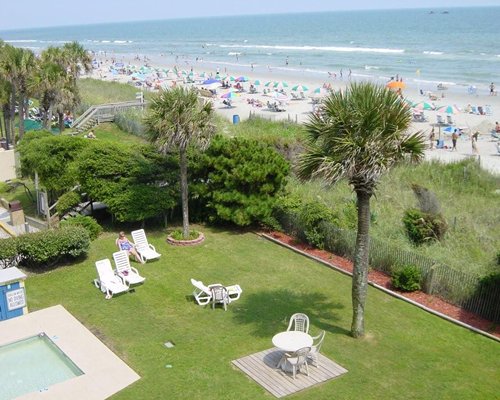 Scenic area with chaise lounge chairs alongside the beach.