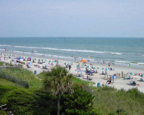 Scenic view of a beach.