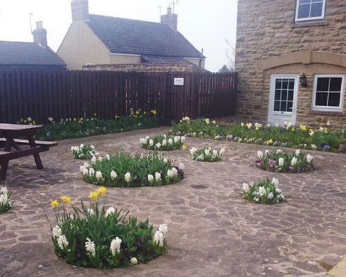 Picnic area with flowering shrubs.