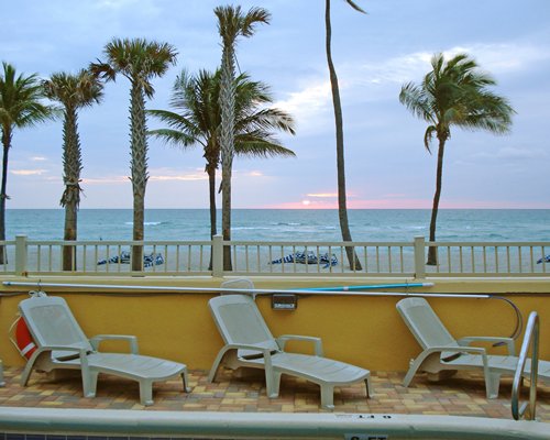 A view of chaise lounge chairs alongside palm trees and ocean.